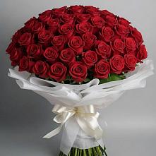 Букет 101 Красная роза Блэк Мэджик в Луховке