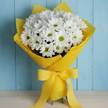 Букет цветов из:  Хризантемы #REPLACE_PRED# Луховке