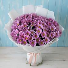 Букет цветов из:  Хризантемы #REPLACE_PRED# Луховке