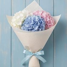 Букет цветов из:  Гортензия #REPLACE_PRED# Луховке