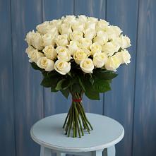 Букет 51 Белая роза Эдлесс Лав в Луховке