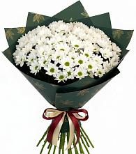 Букет цветов из:  Хризантемы #REPLACE_PRED# Луховке