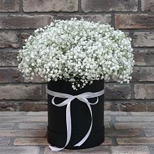 Цветочная композиция из Гипсофила в шляпной коробке #REPLACE_PRED# Луховке