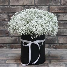 Цветочная композиция из Гипсофила в шляпной коробке в Луховке