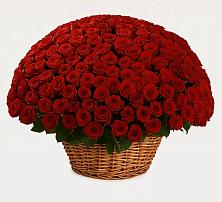 Премиум букет из: Розы #REPLACE_PRED# Луховке